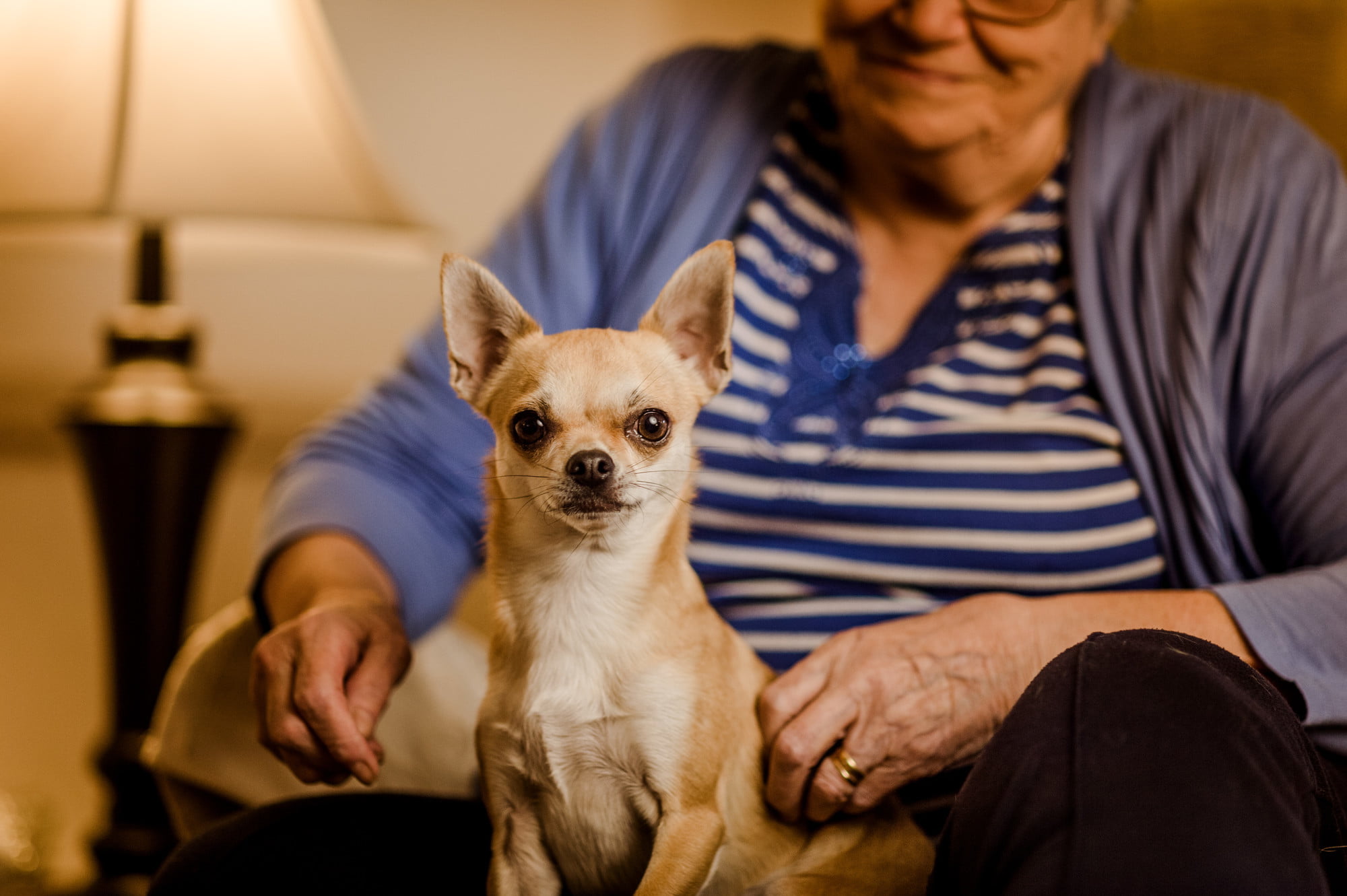 Guest blog: Benefits of Having a Pet for The Elderly