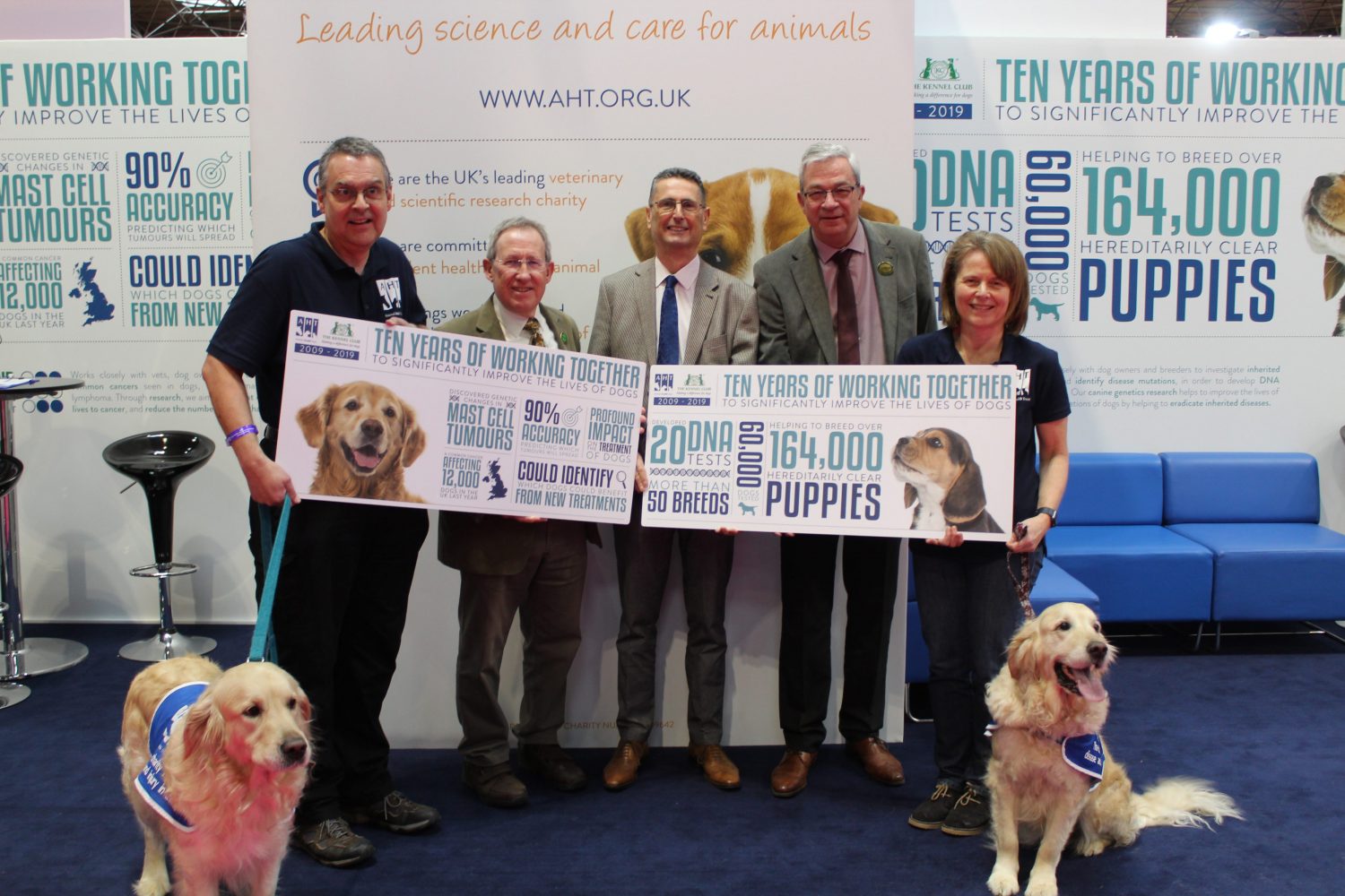 10 years improving dogs’ lives