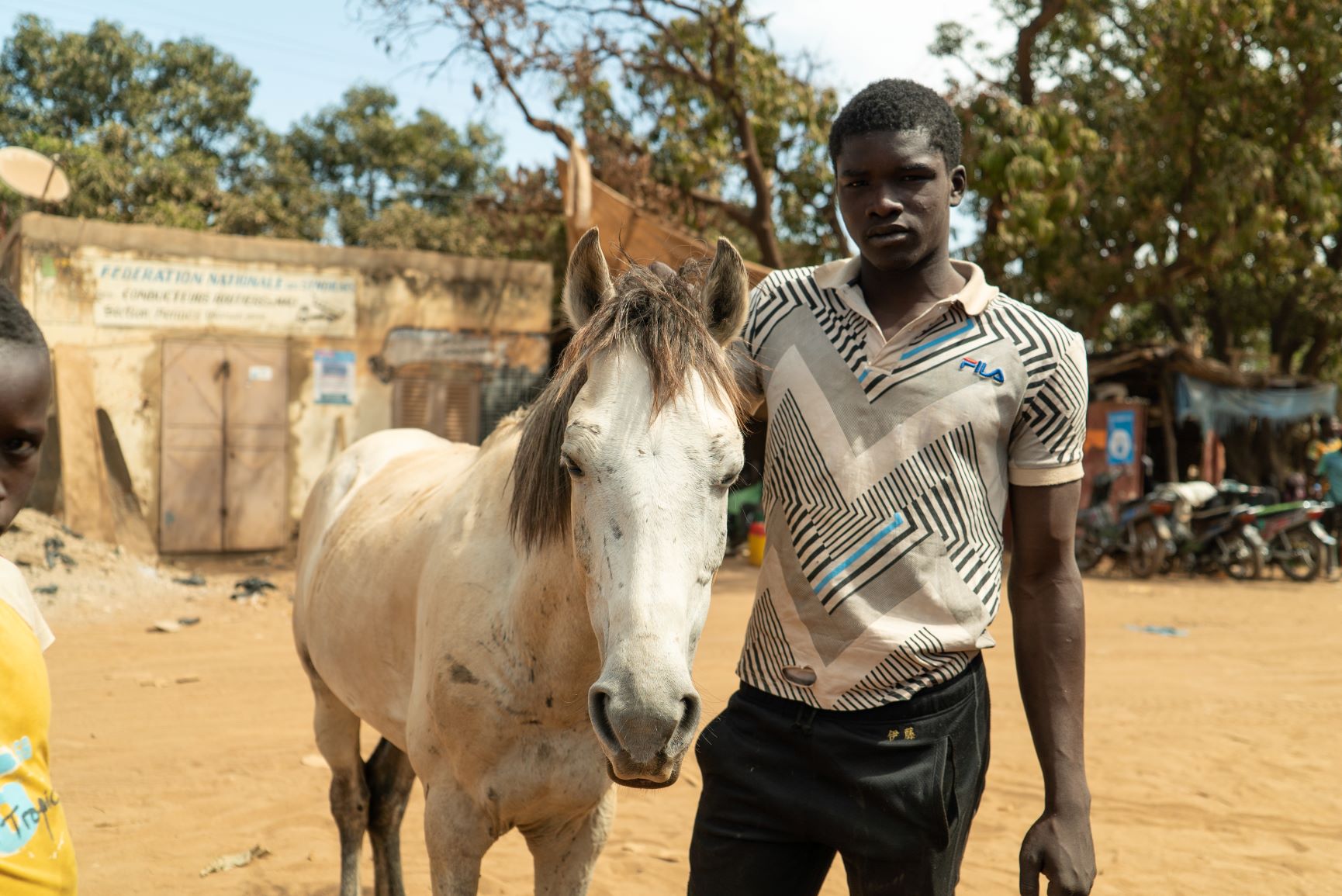 Helping working horses in Mali