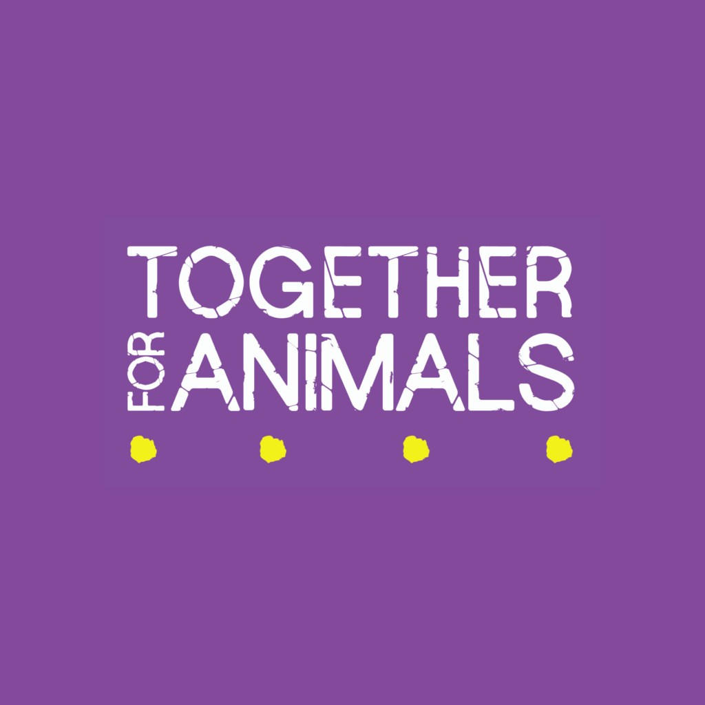 Together for Animals - Together For Animals. Animal welfare charity.