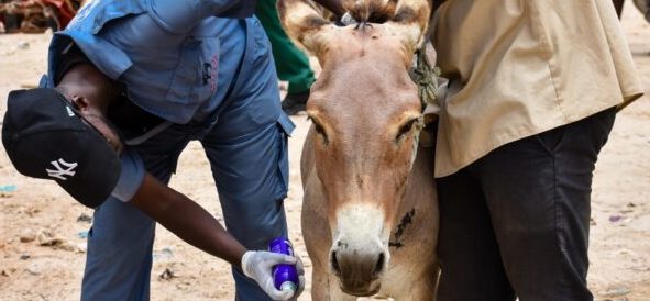 Yann visits the mobile clinic