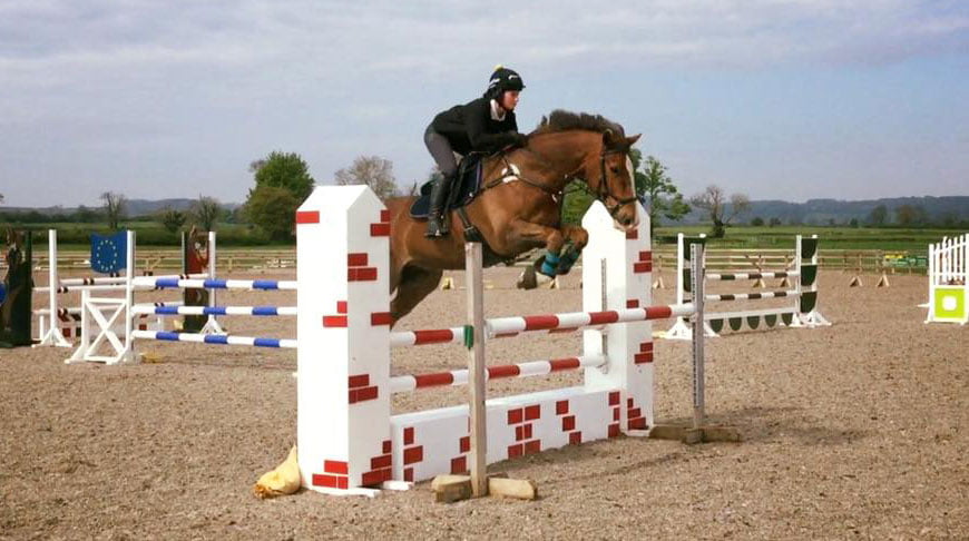 Rescue horse Harry’s winning ways