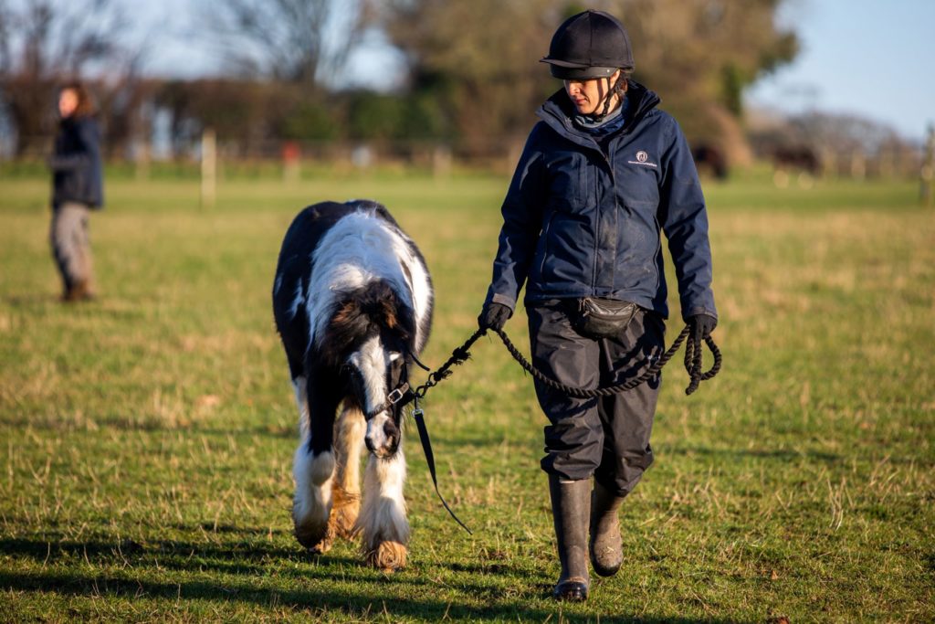 Olaf and groomer walking