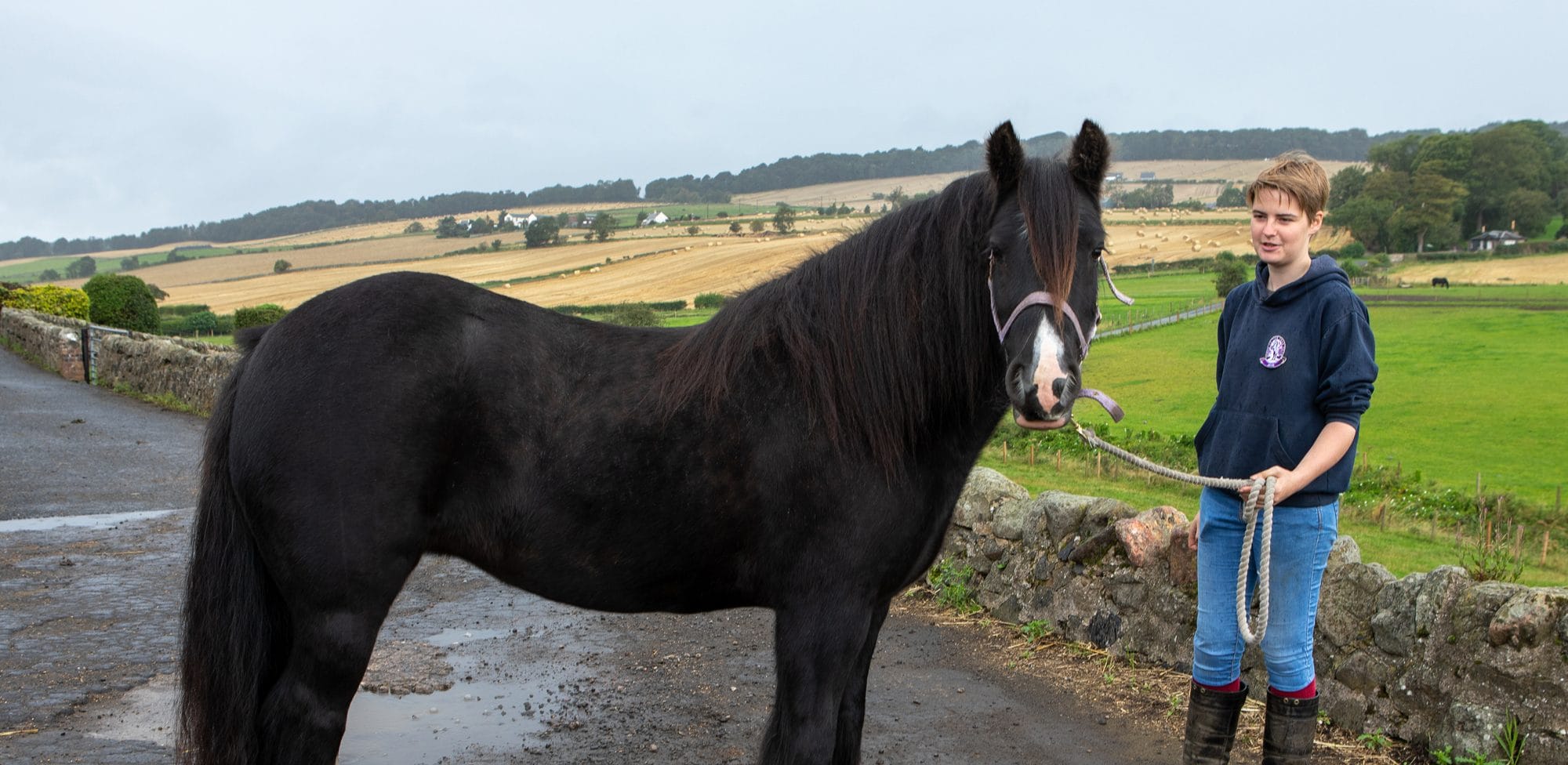 Struggling horse owners are urged to rehome this summer