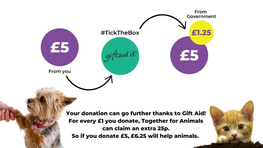 a diagram of how Gift Aid works - if you give £5 and complete a Gift Aid declaration form we can claim £1.25 from government. This means that £6.25 actually goes to helping animals in need. 