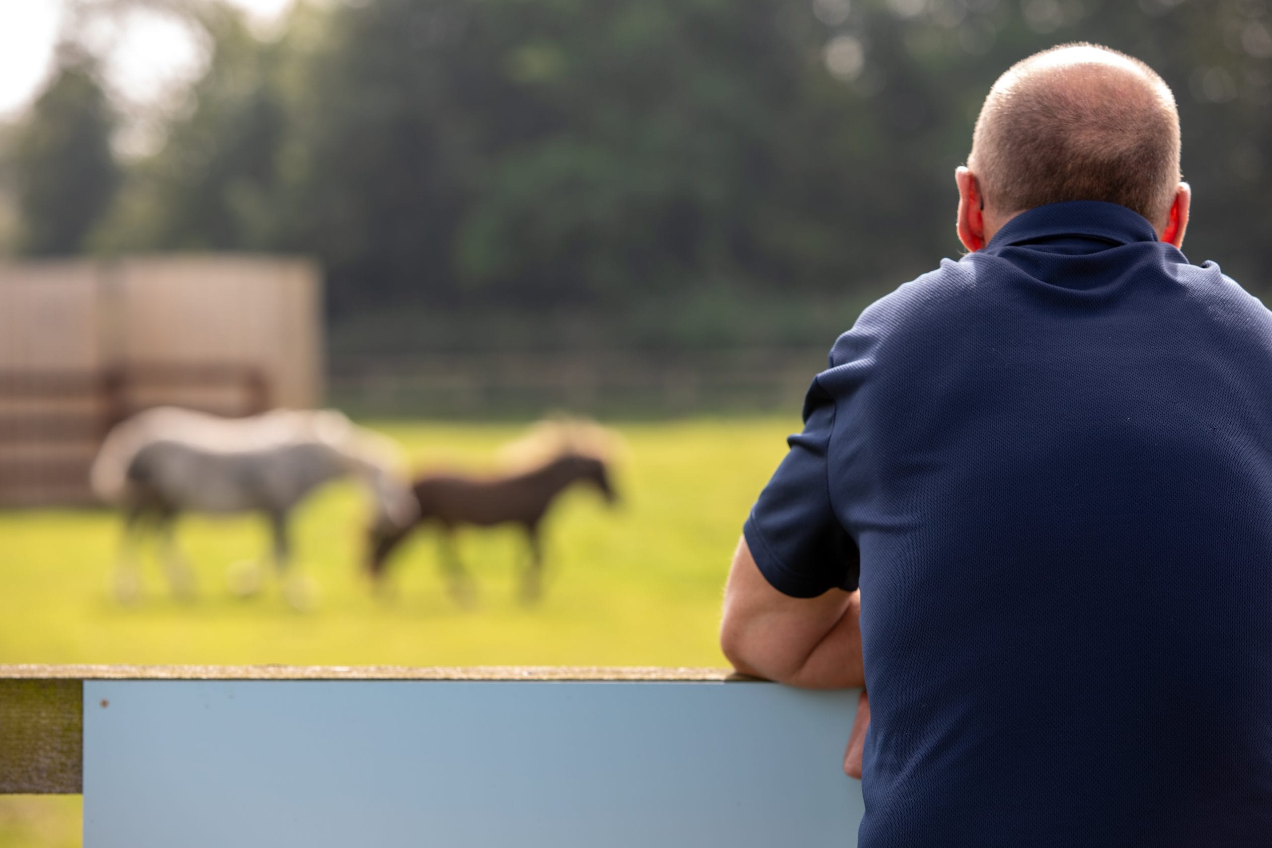 Dover 26 horse welcomes healthy foal