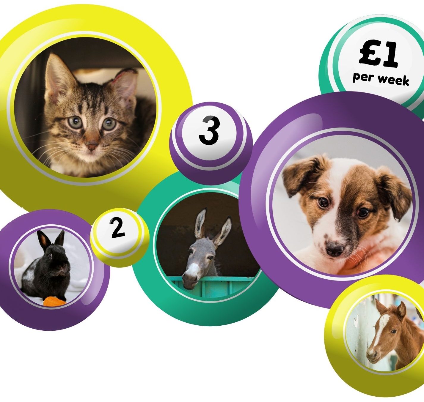 Play our weekly lottery!