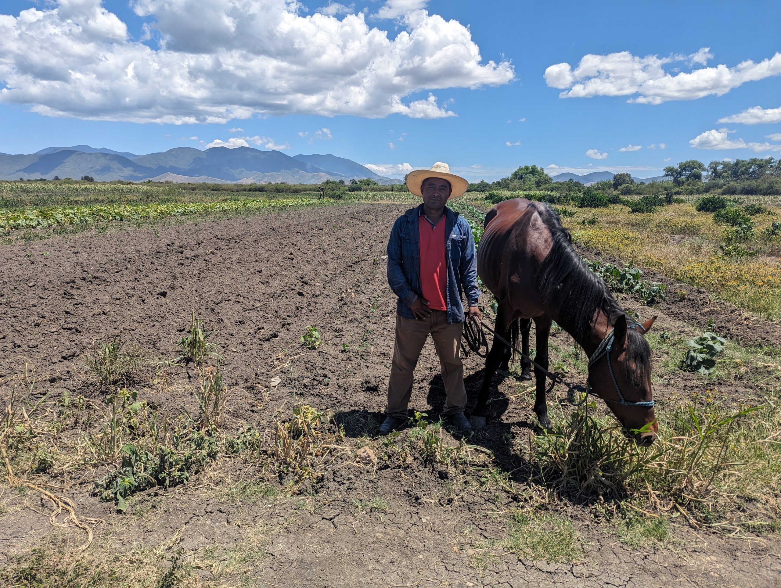 Improving the horse-human relationship in Mexico