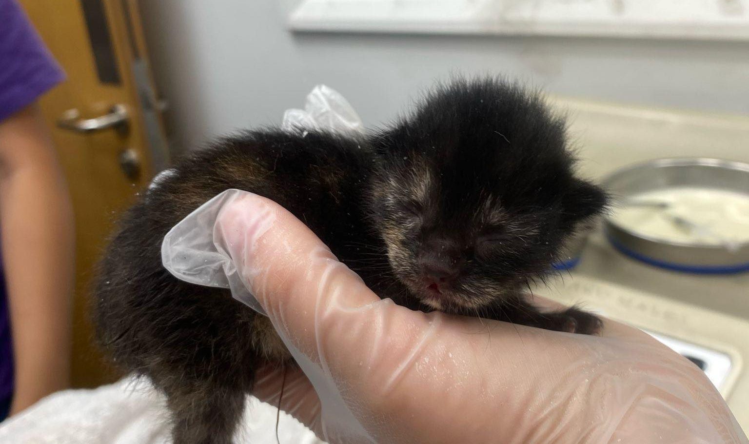 From a bucket to a bright future