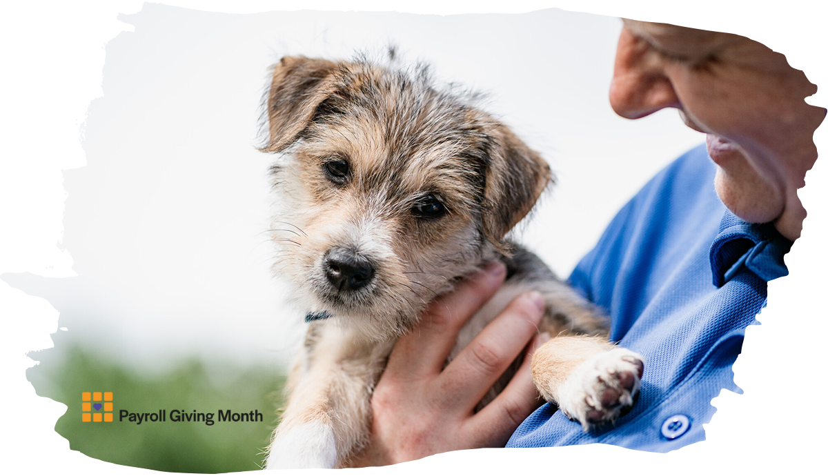 A person in a blue uniform gently holds a small black-and-tan puppy, who looks calmly toward the camera. In the bottom left corner there is the logo for Payroll Giving Month.