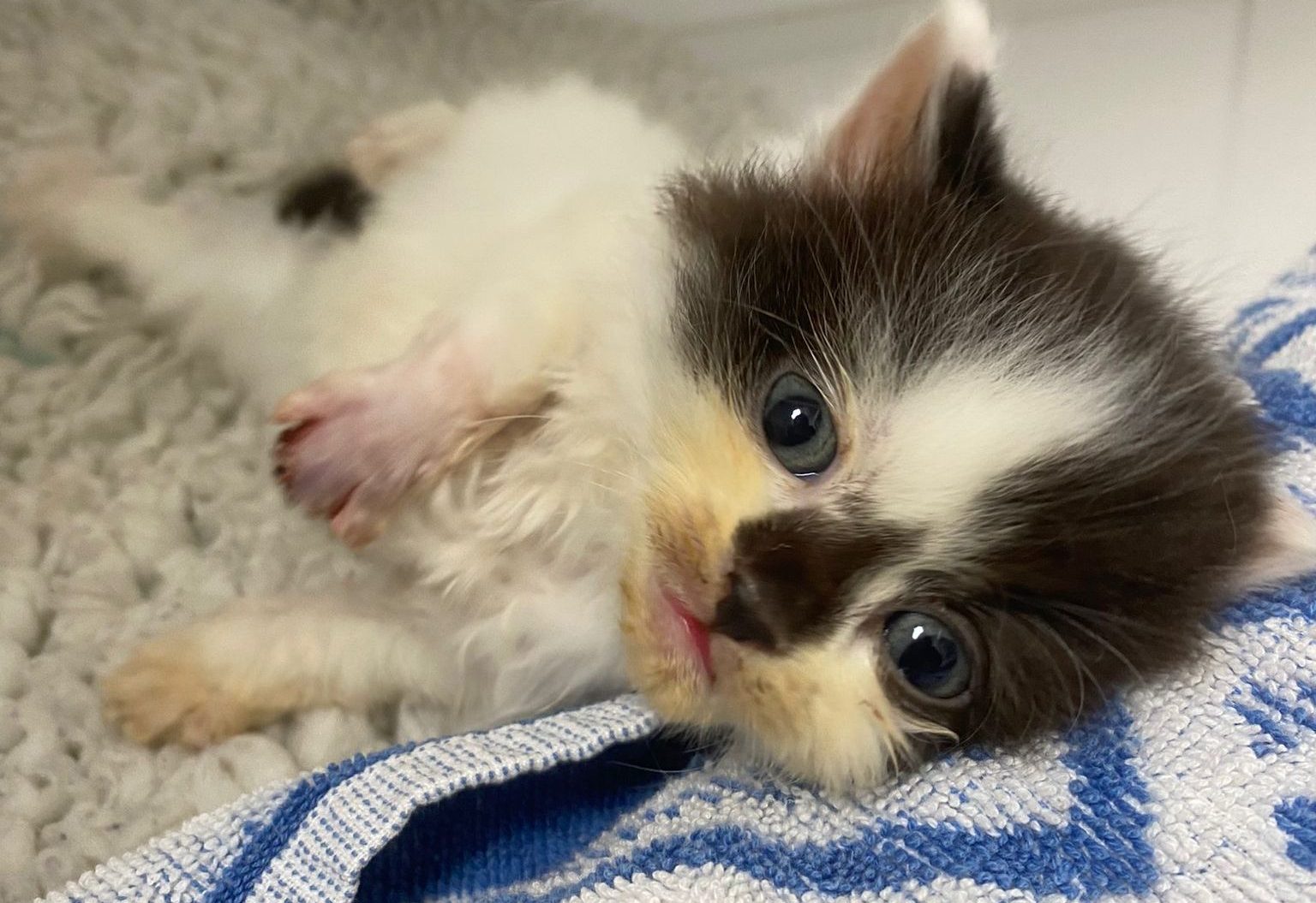 Saving lives like Stig’s