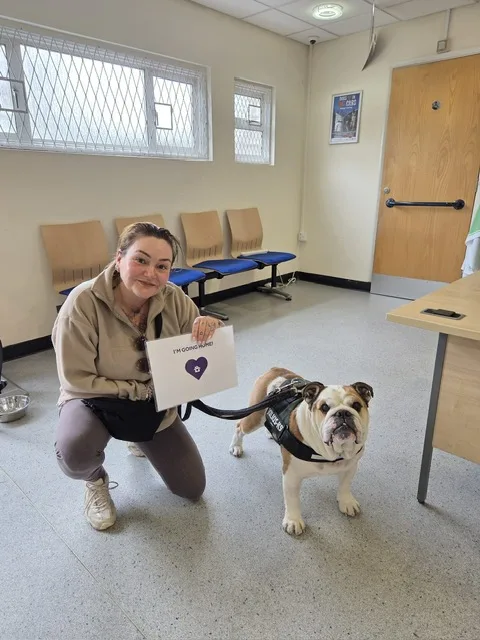 Person kneeling beside a bulldog wearing a harness in a veterinary waiting room, holding a sign that reads ‘I’m going home’ with a heart symbol