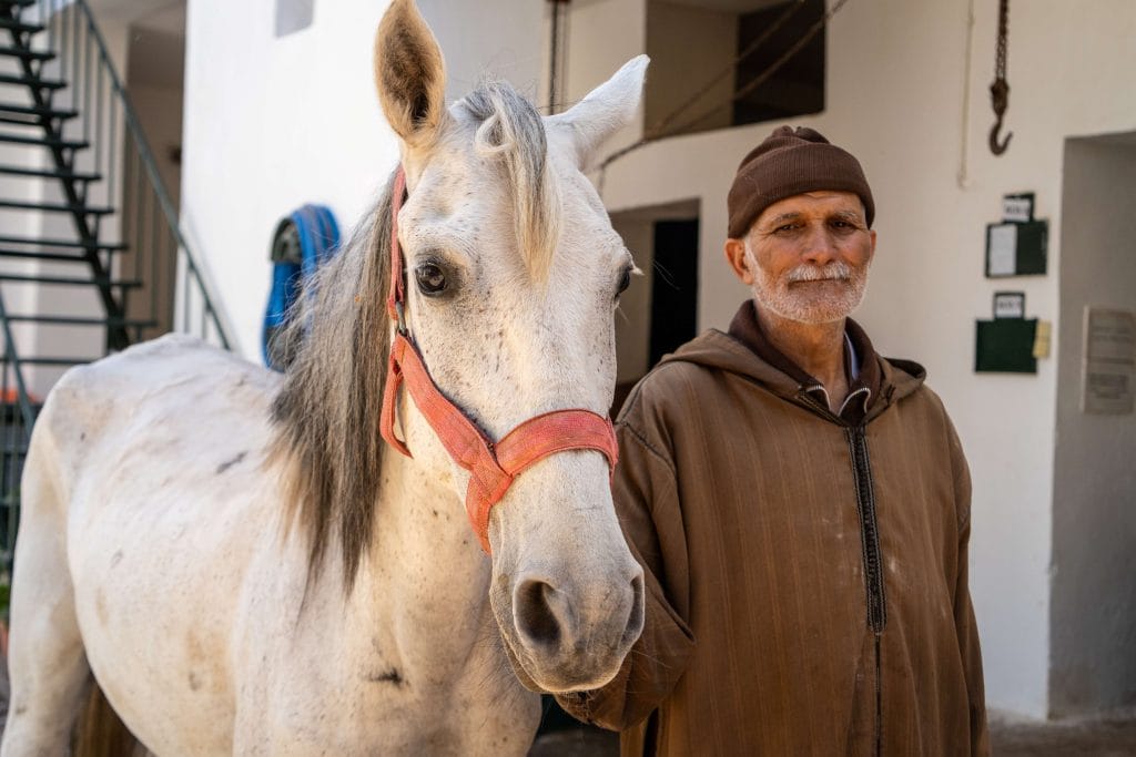 Man standing beside a white horse wearing a red halter in an outdoor courtyard setting, both facing the camera.