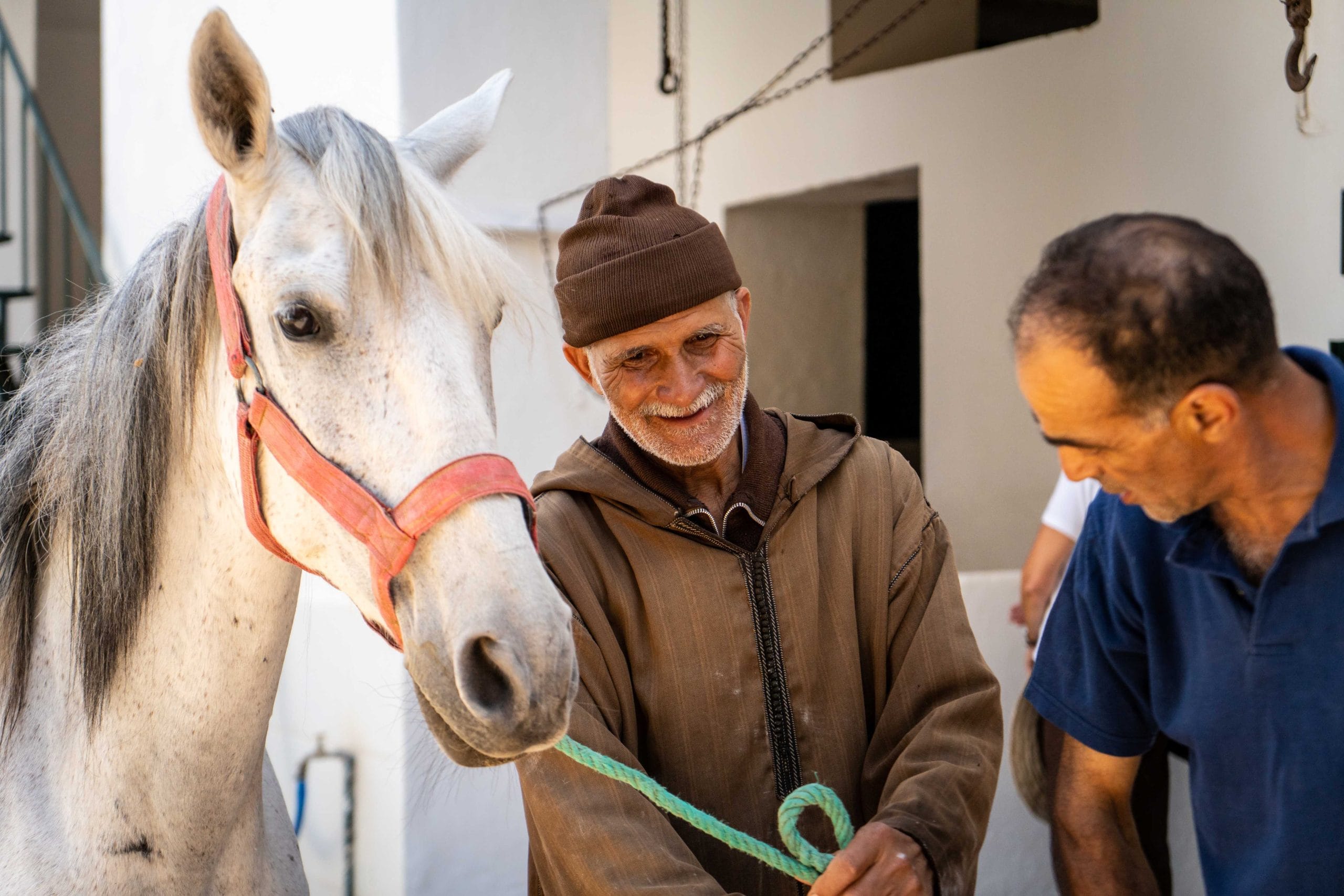 Helping a neglected horse in Morocco