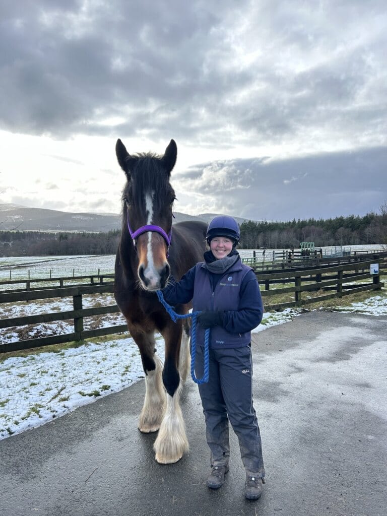 Person standing beside a tall horse on a lead in a yard on a cold day, with snow on the ground and hills in the background.