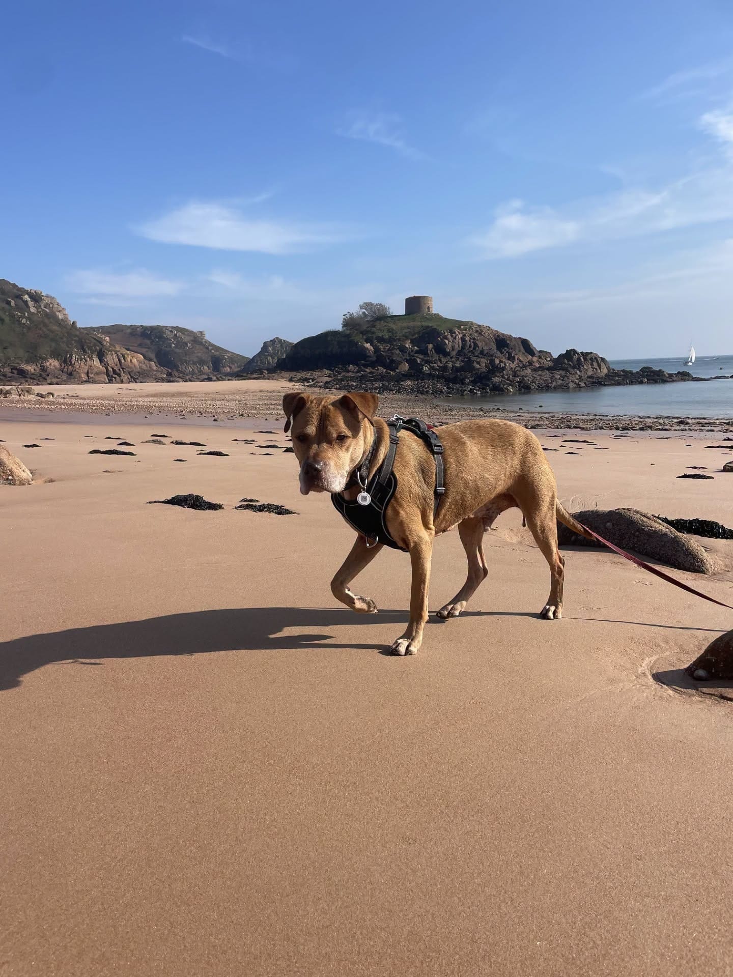 A gentle new beginning for Doobie
