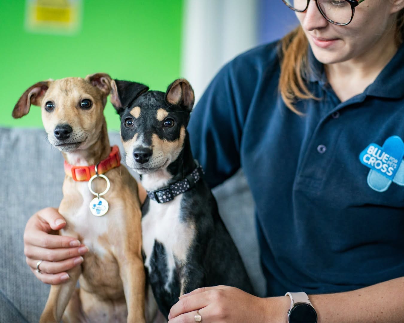 Puppies given a second chance